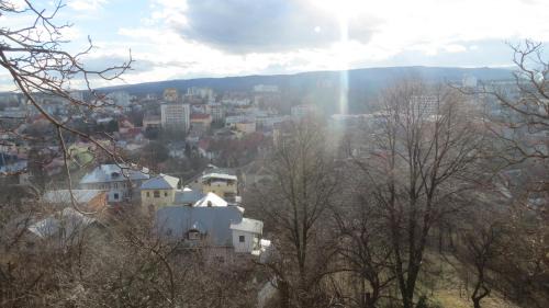 Truskavets Apartment | Apartments and Sauna
