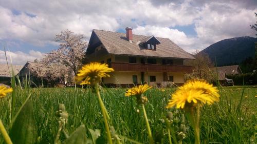 Bohinj Apartment | Apartments Arh