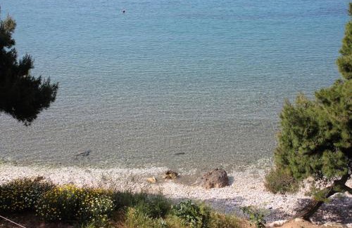 Saplunara Apartment | Apartments by the sea Cove Saplunara, Mljet - 12849