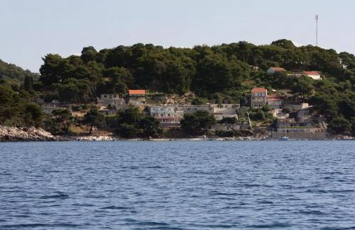 Saplunara Apartment | Apartments by the sea Cove Saplunara, Mljet - 12849