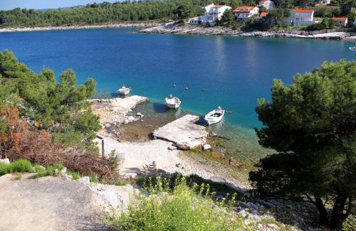 Cove Basina (Jelsa) Apartment | Apartments by the sea Mudri Dolac, Hvar - 582