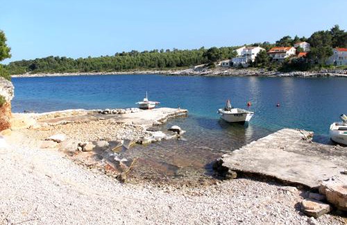 Cove Basina (Jelsa) Apartment | Apartments by the sea Mudri Dolac, Hvar - 582