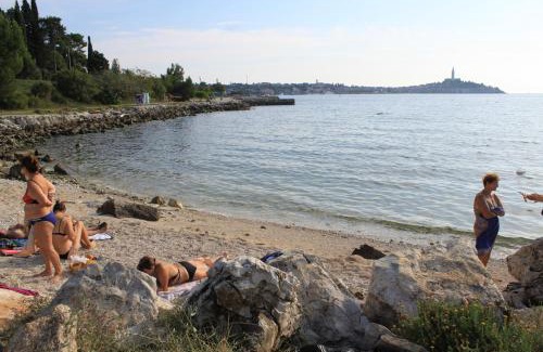 Borik Apartment | Apartments by the sea Rovinj - 19730