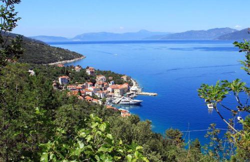Valun Apartment | Apartments by the sea Valun, Cres - 8081