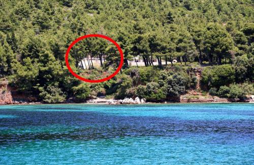 Zuljana Apartment | Apartments by the sea Zuljana, Peljesac - 10233