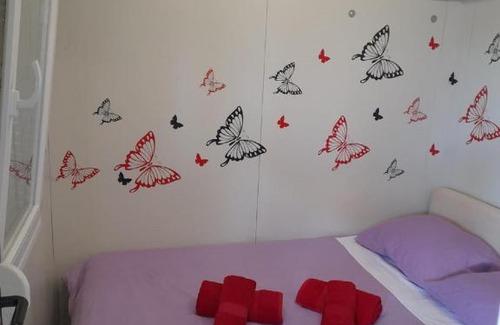 Mljet House | Apartments Dalamar