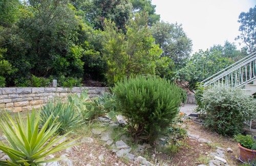 Brna Apartment | Apartments Marjan (51371-A1) - Brna - island Korcula