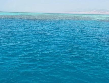 Ras Nasrani Apartment | Apartments in Sharm El Sheikh, Egypt