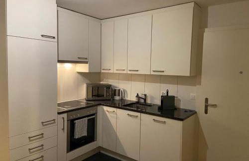 Alt-Wiedikon Apartment | Apartments in Zelgstrasse-Zurich