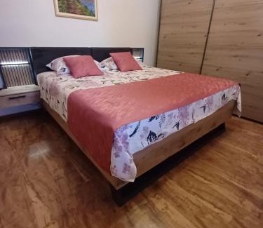 Drezniske Ravne Apartment | Apartments Ivančič