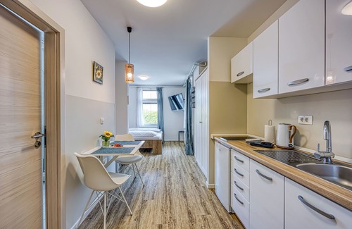Novo Mesto Apartment | Apartments Jantar Studio 1