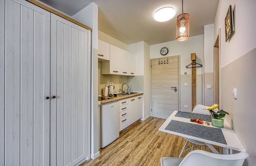 Novo Mesto Apartment | Apartments Jantar Studio 1