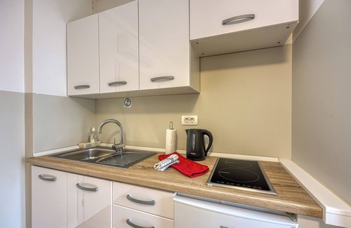 Novo Mesto Apartment | Apartments Jantar Studio 2