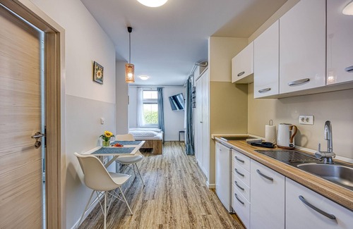 Novo Mesto Apartment | Apartments Jantar Studio 1