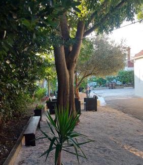 Biograd na Moru Apartment | Apartments Jeličić