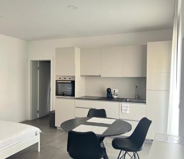 Bezigrad District Apartment | Apartments Lily