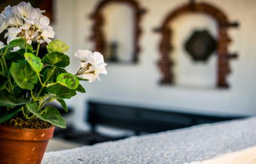 Trpanj Apartment | Apartments Maestral