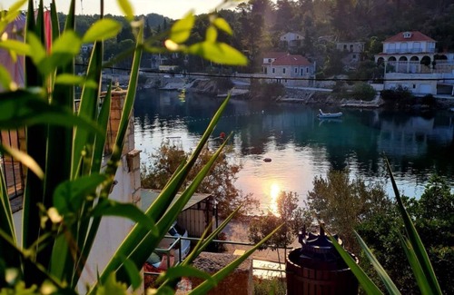 Rogac Apartment | Apartments Rogač (89021-A2) - Rogac - island Solta