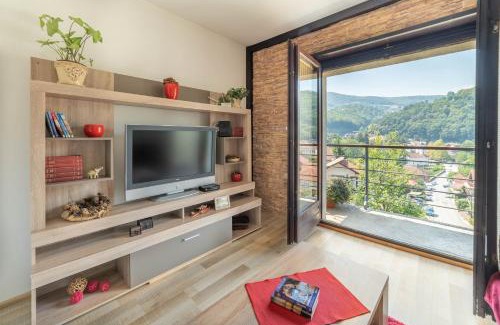 Ivanjica Apartment | Apartments Vidik