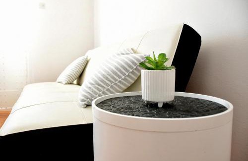 Suha Punta Apartment | Apartments Viola Kampor