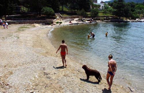 Stari Grad Apartment | Apartments with a parking space Stari Grad, Hvar - 8686