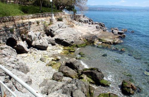 Opric Apartment | Apartments with a swimming pool Opric, Opatija - 7711
