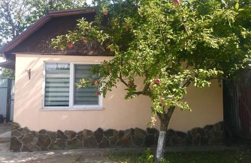 Solomjanskyj Apartment | Apartments with kitchen and garden