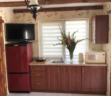 Solomjanskyj Apartment | Apartments with kitchen and garden