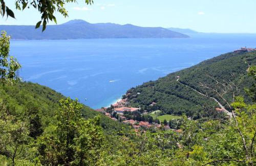 Obrs Apartment | Apartments with parking space Moscenicka Draga, Opatija - 7766
