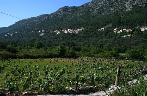 Mljet Apartment | Apartments with parking space Babino Polje, Mljet - 22323