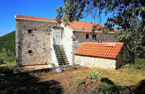 Mljet Apartment | Apartments with parking space Babino Polje, Mljet - 22323