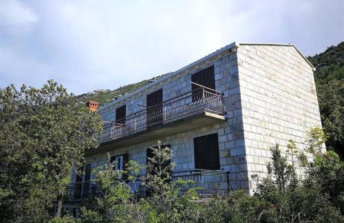 Mljet Apartment | Apartments with parking space Babino Polje, Mljet - 22323