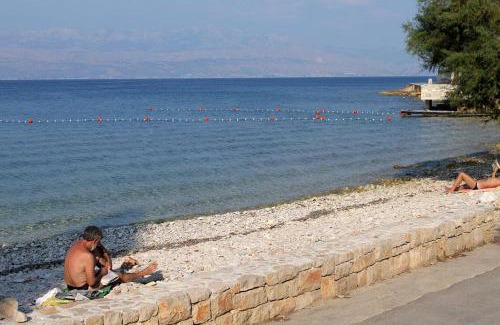 Sutivan Apartment | Apartments with parking space Sutivan, Brac - 5654