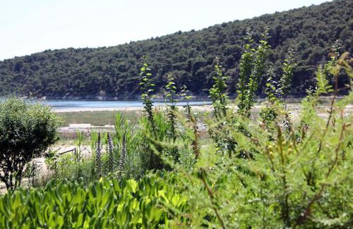 Suha Punta Apartment | Apartments with parking space Kampor, Rab - 4972
