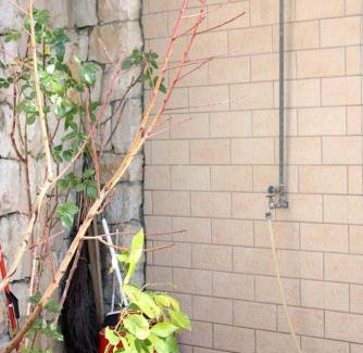 Marusici Apartment | Apartments with parking space Marusici, Omis - 962
