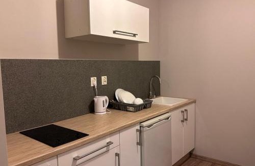 Poznan City Center Apartment | Apolla 12