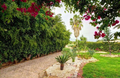 Argaka House | Apollon Villa Argaka