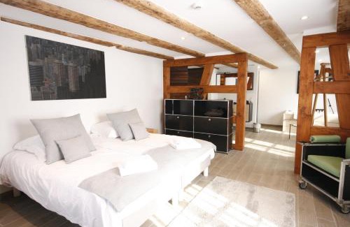 Kaysersberg-Vignoble Apartment | App'Art - Le R