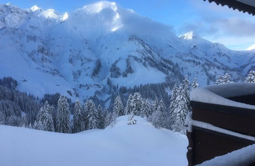 Schroecken Apartment | App. for 2-4 persons TOP 10 - Sportappart Hochtannberg