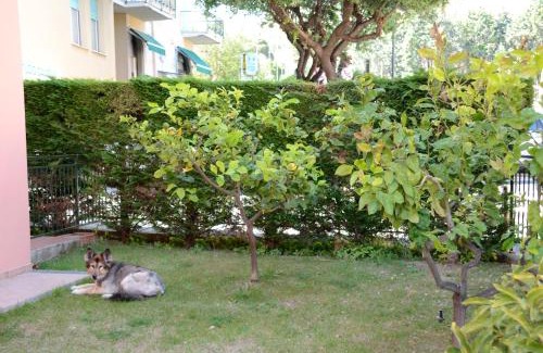 Borgio Verezzi Apartment | Appartamenti La Residenza
