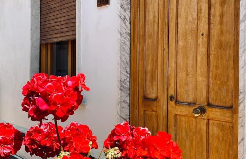 Trentinara Apartment | Appartamento "Il Geranio"