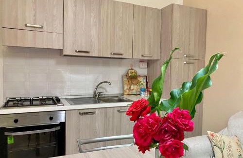 Trentinara Apartment | Appartamento "Il Geranio"