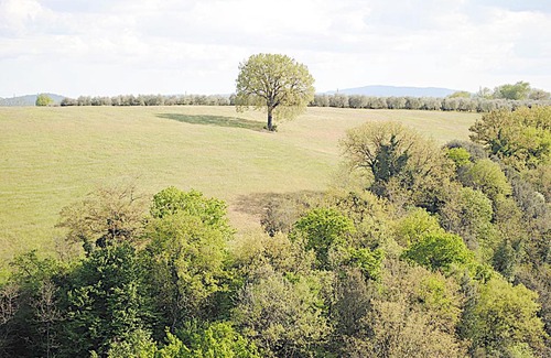 Colle di Val d'Elsa Apartment | Appartamento panoramico nel centro torico
