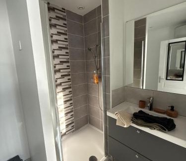 Saint-Orens-de-Gameville Apartment | Appartement climatisé Saint Orens N8