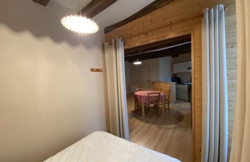 La Roche-Posay Apartment | Appartement à 70m des Thermes du Saint Roch - FR-1-541-54