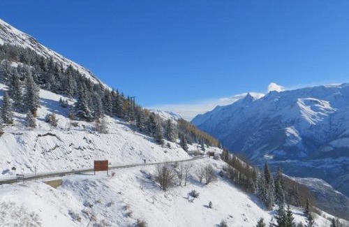 Auris Apartment | Appartement 2 pièces cabine, 100m pistes, parking gratuit - FR-1-297-127