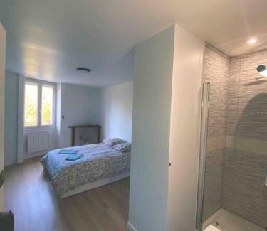 Saint-Etienne Apartment | Appartement 5 chambres tous conforts - WIFI - TV