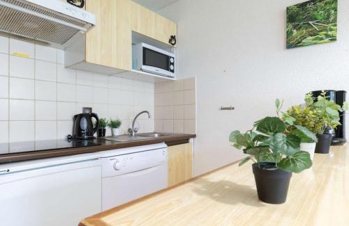 Saint-Lary-Soulan Apartment | Appartement 8 personnes avec balcon sud, navette télécabine à proximité, Saint-Lary-Soulan - FR-1-296-388