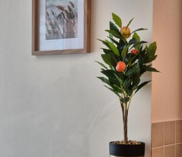 Blankenberge Apartment | Appartement aan zee Blankenberge