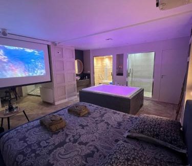Downtown Angers Apartment | Appartement avec Jacuzzi Sauna & Home Cinéma - Nid d'Angers